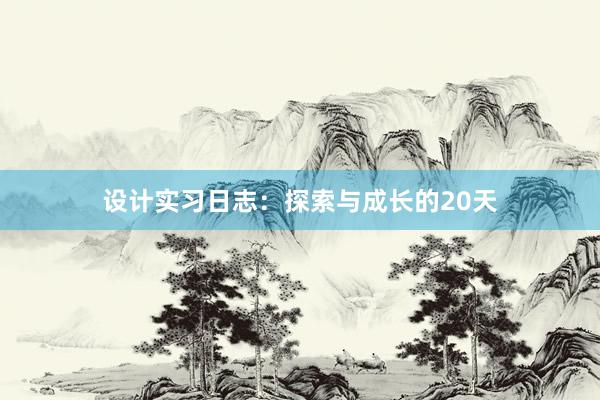 设计实习日志：探索与成长的20天