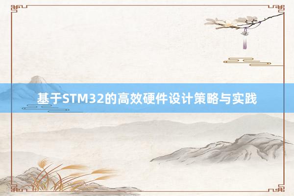 基于STM32的高效硬件设计策略与实践